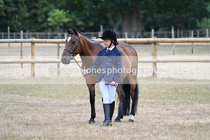WJ7_9601 - Class 5 Most Handsome Gelding (up to 14.2hh)