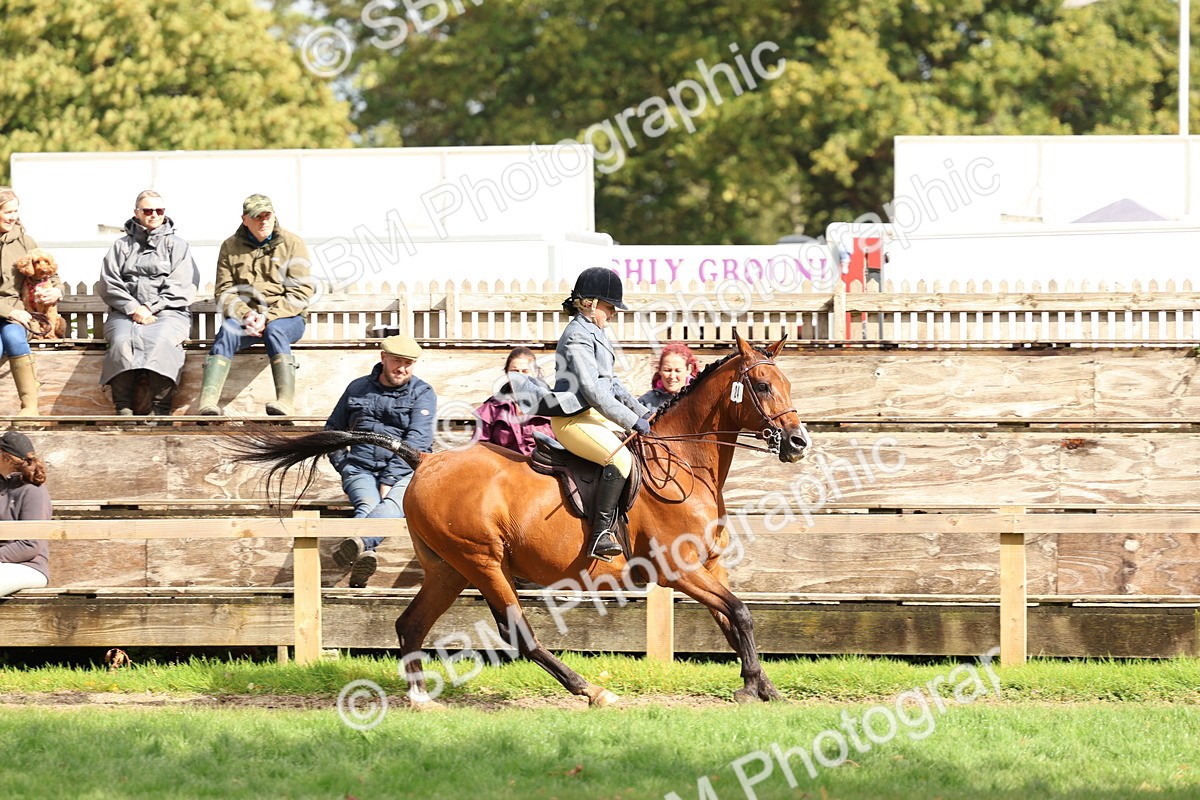 SBM_47712 - S28 - Veteran Ridden