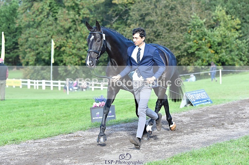 231022-111808-23876 - 560-TIMEPEICE.BLUE-Giorgio.Nardilli-TrotUp+SJ