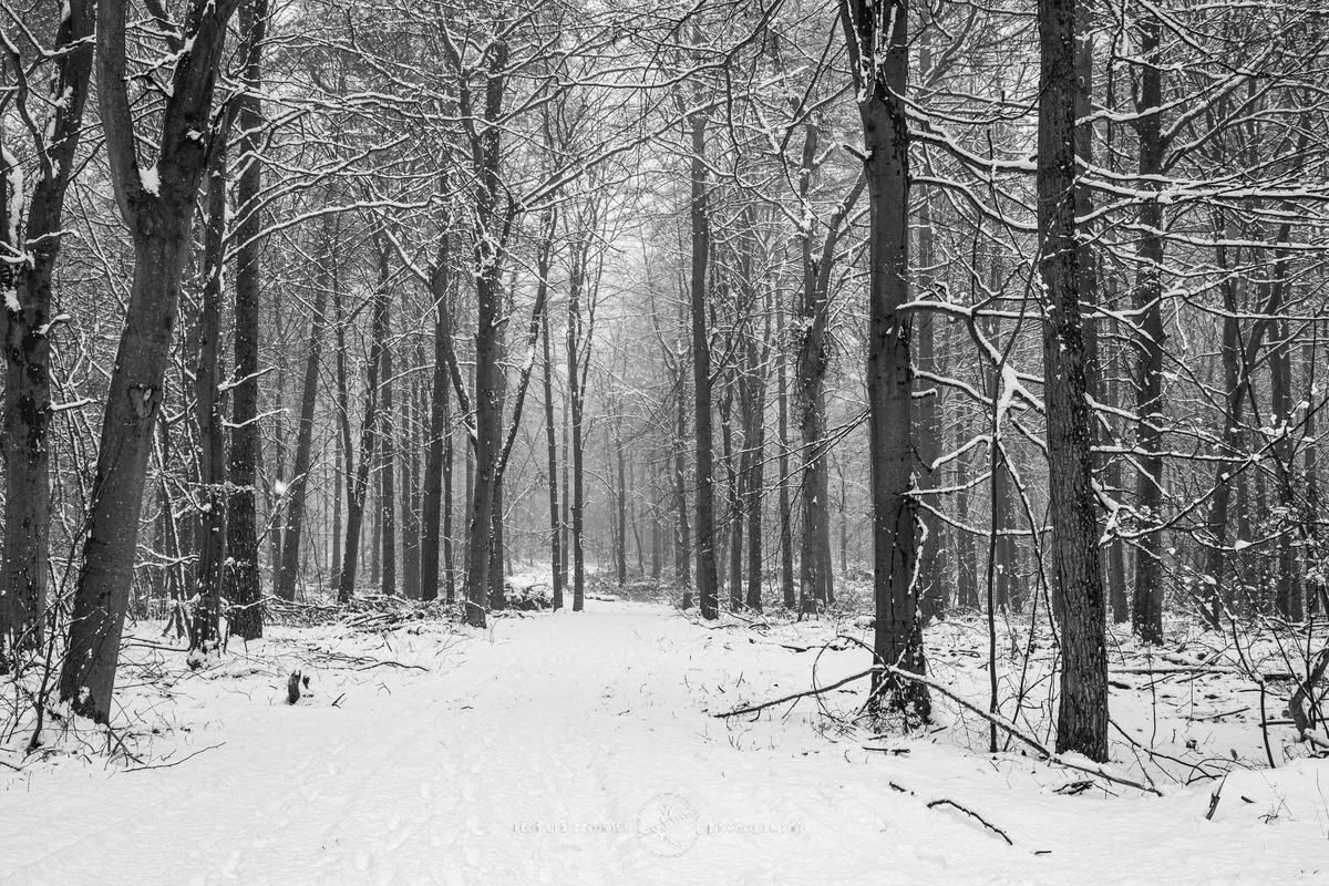 Weathermore snow - WINTER