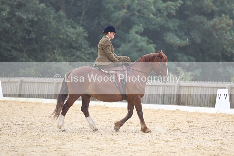 3E7A6862 - Class 5: Prelim to Music