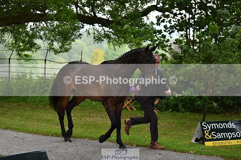 240522-151322-00176 - 316-LB_METTAPHOR-Tom_Rowland