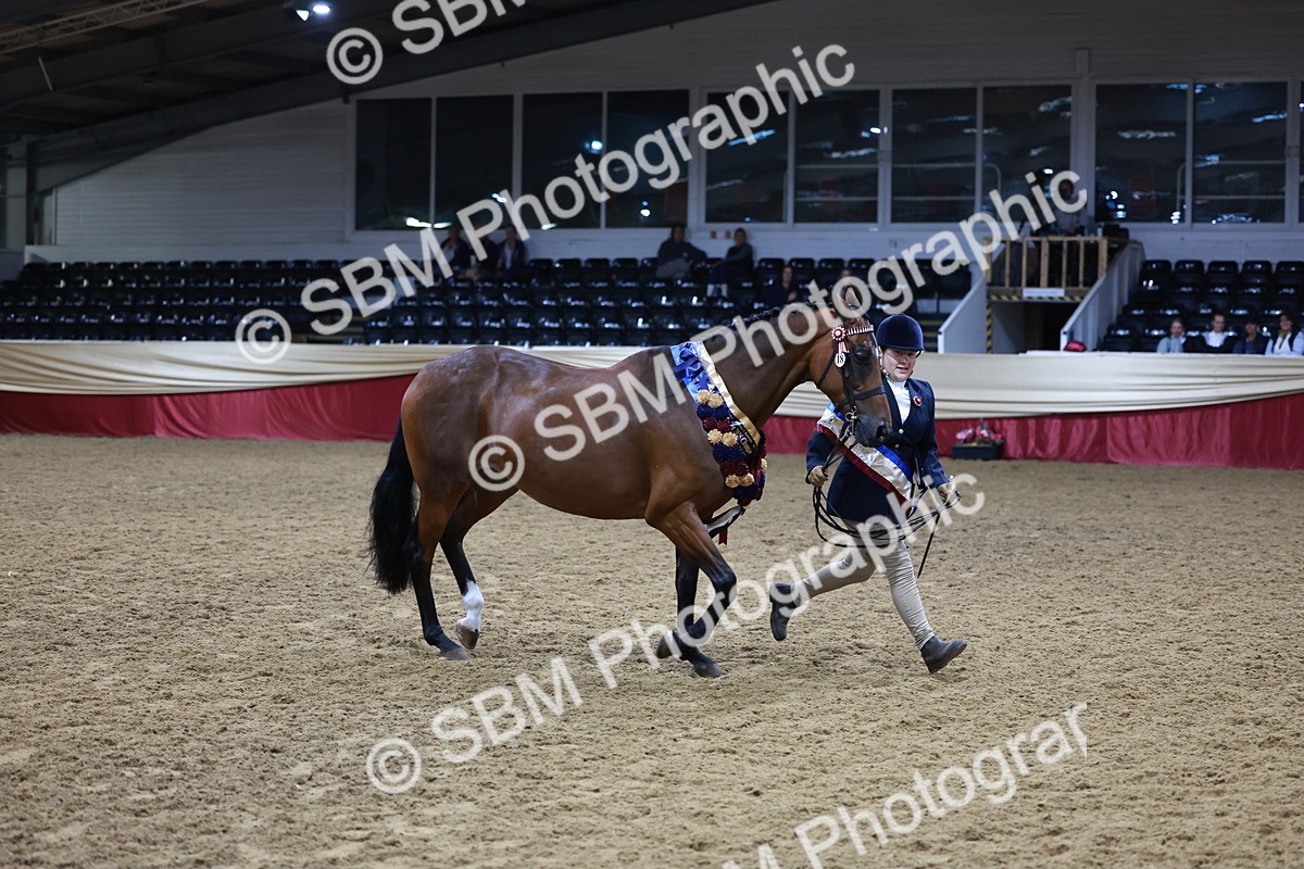 SBM_20369 - Class E - Best Turned Out Champ