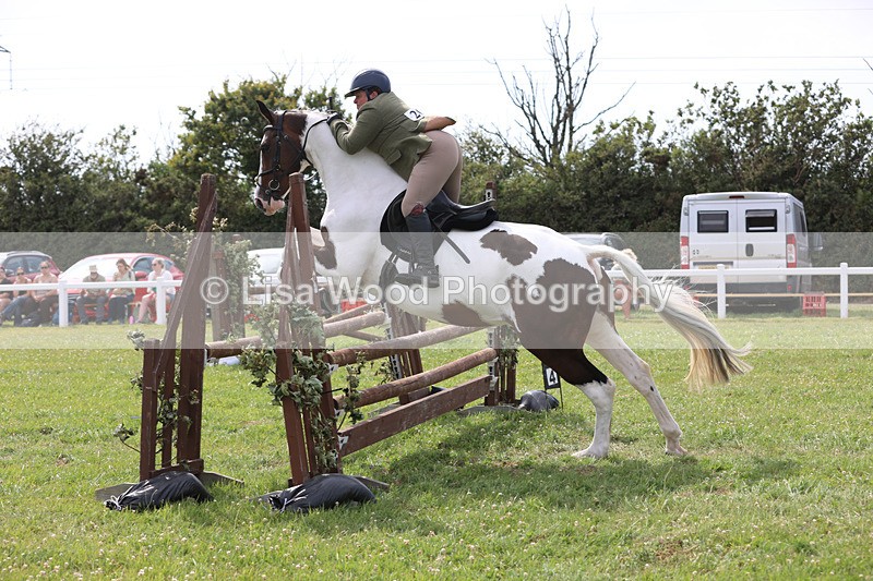 JPP_4044 - Class 24: Working Hunter 90cm