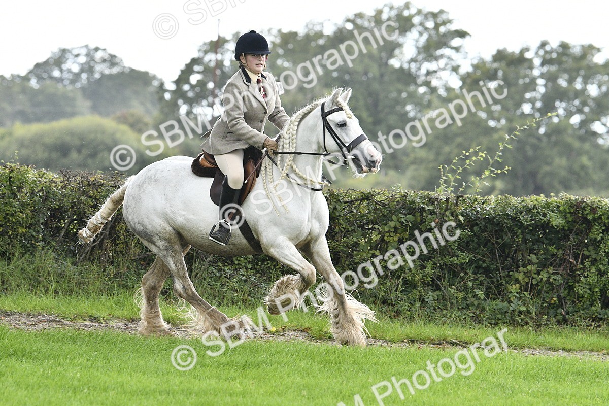 SBM_41532 - S32 - Mountain & Moorland Working Hunter Pony