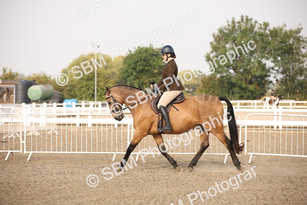 SBM_10246 - Class 402 Riding Club Horse