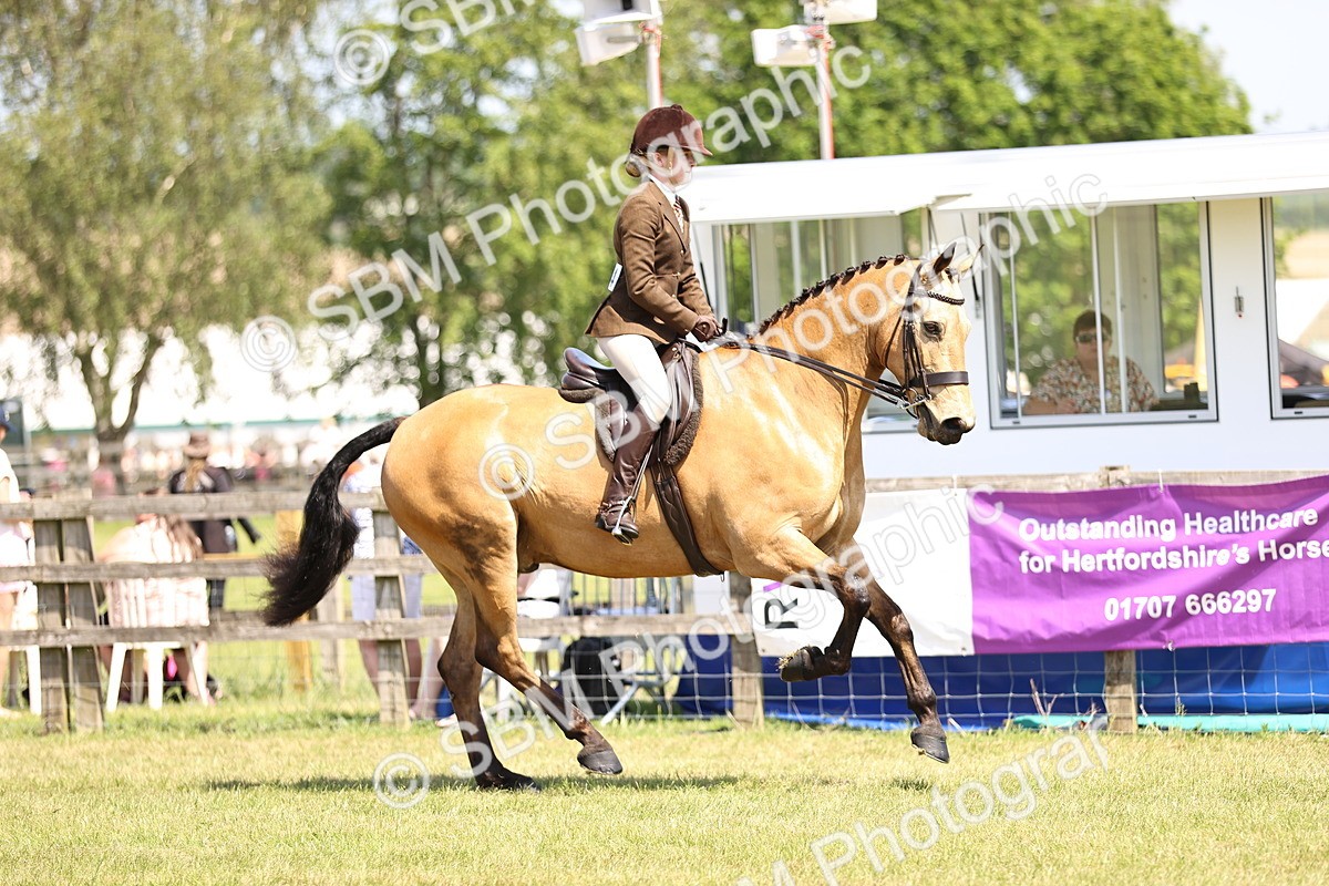 SBM_15154 - Class 79-80 - LIHS BSHA Rising Star Ridden Hunter