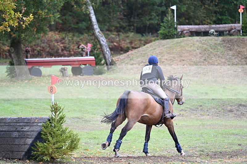 WJ7_5378 - Time 13:00 to 13:18