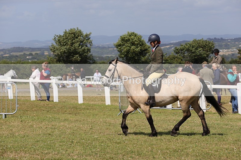 1X9A5559 - Class 38: NPS Novice Ridden Small and Large Breeds