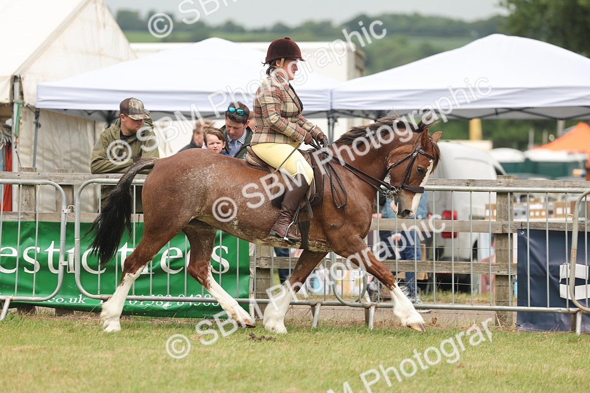 SBM_07173 - Class 76-77 - Ridden M&M Welsh Ponies