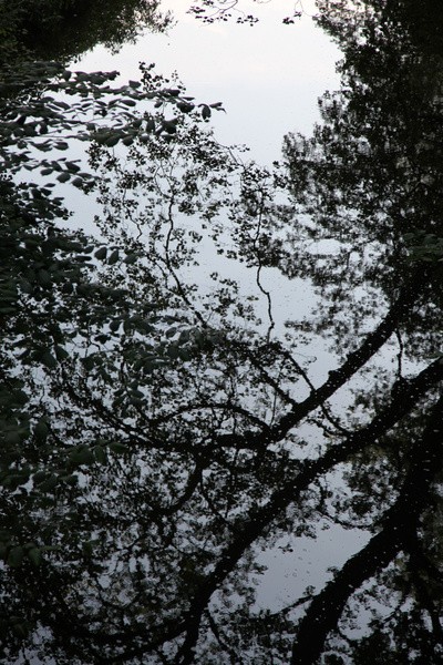Frome Reflections FR _010 - Frenchay care home Collection v