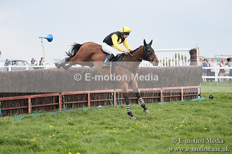 PtP 210418 392 - South & West Wilts Point-to-Point Larkhill 21/04/18