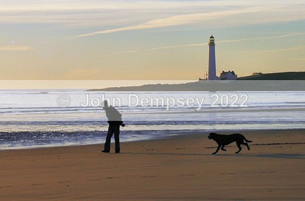 My dog,the beach and I - Montrose Beach