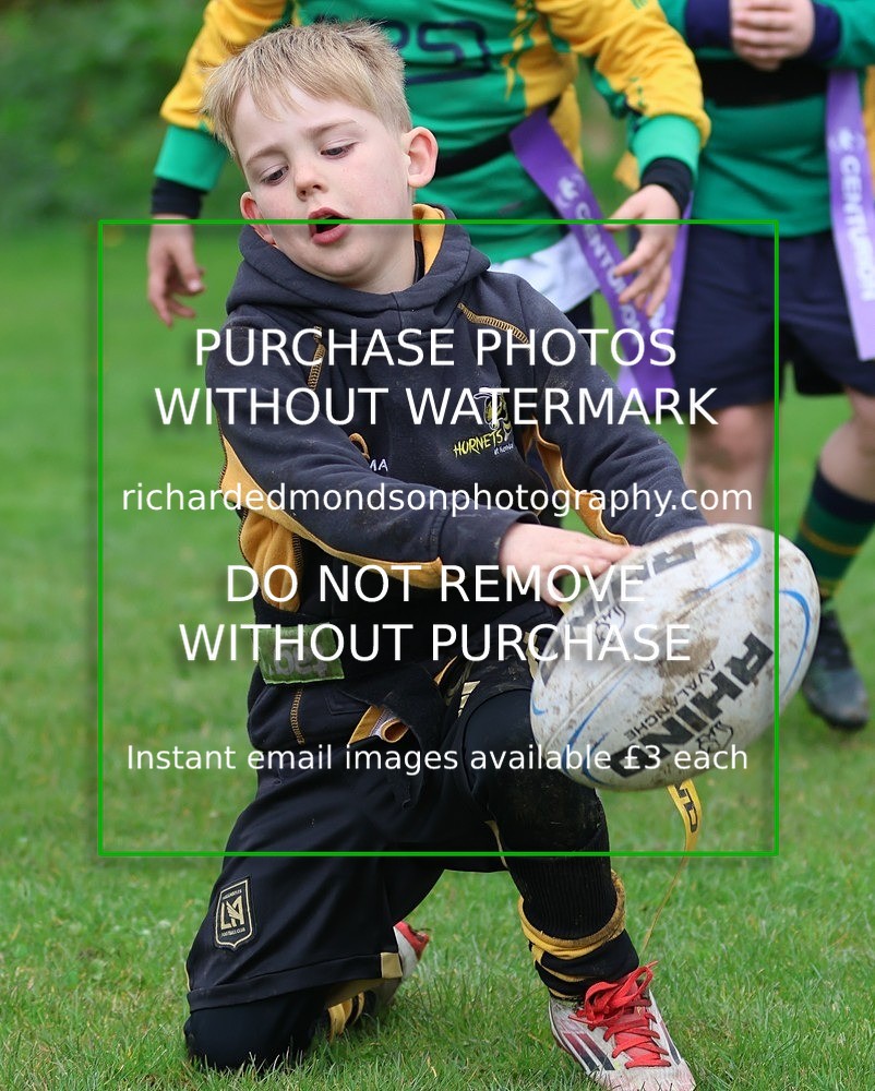 533A5193 - Kendal Rugby Under 7's (12/4/26)