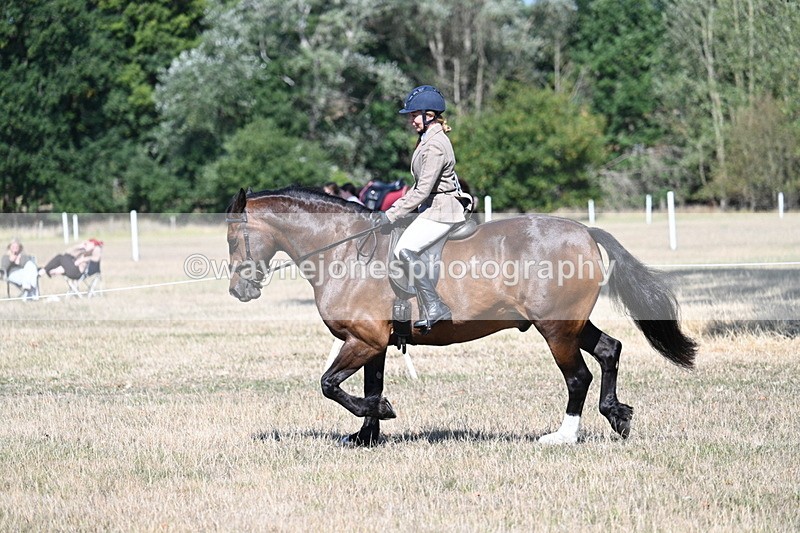 WJ7_3913 - Class 9 Mountain & Moorland Ridden