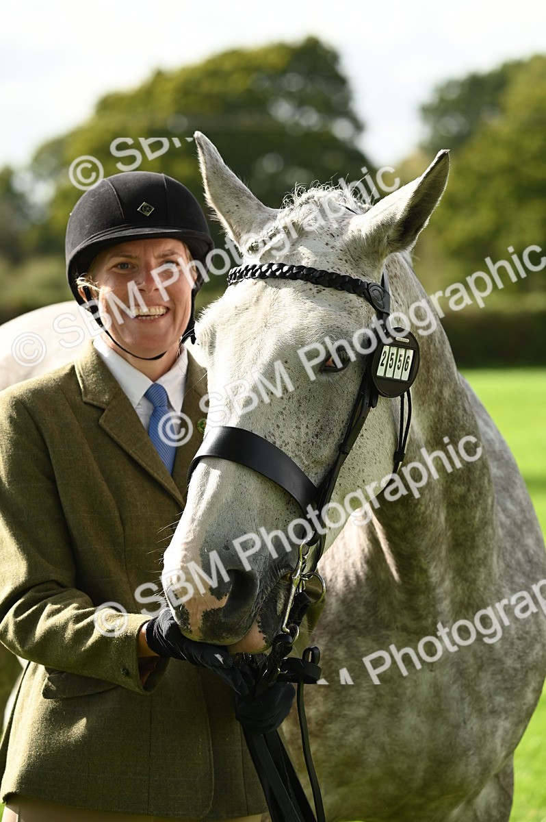 SBM_25045 - S5 - Novice & Newcomer In hand
