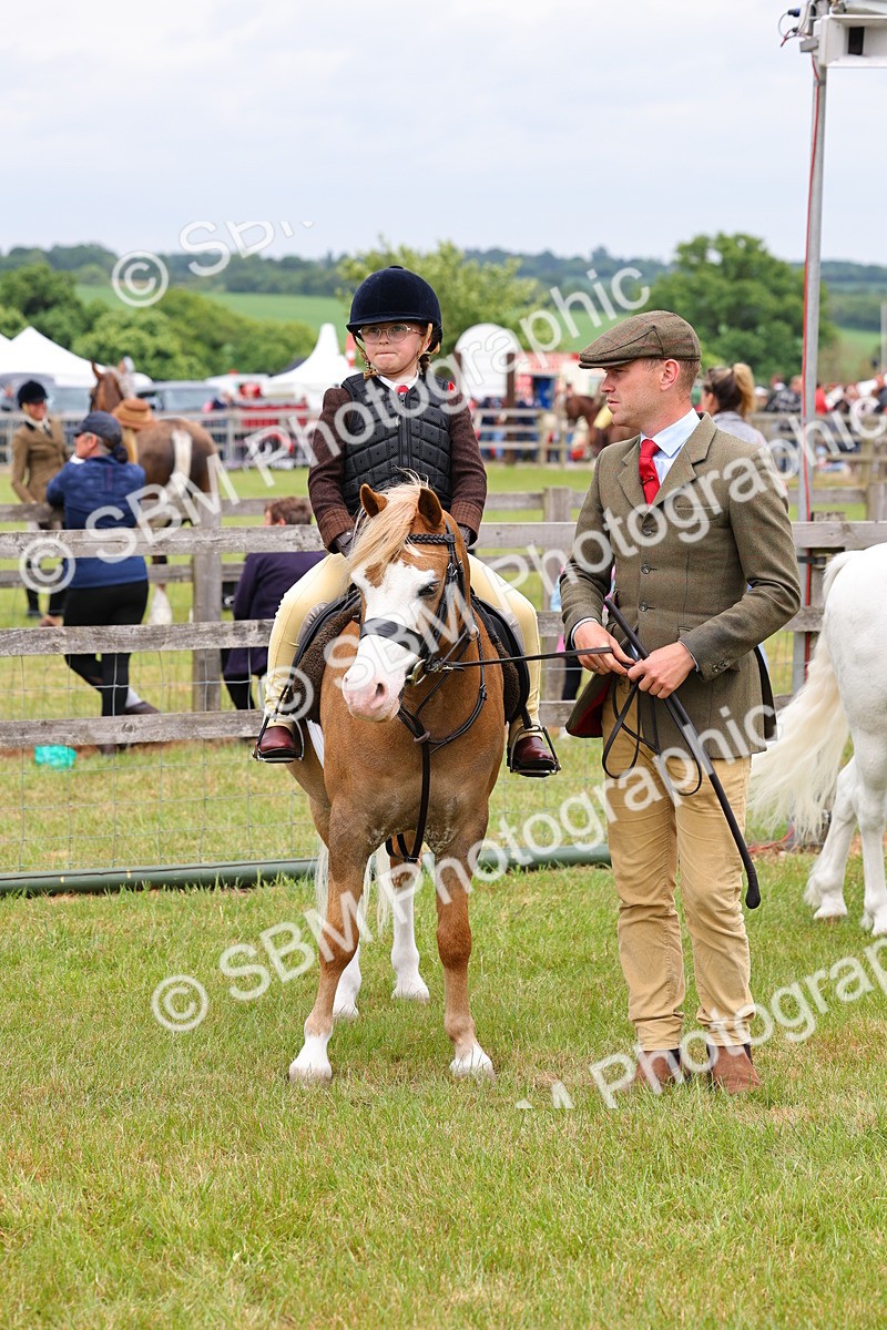 SBM_08336 - Class 42-43 - LIHS BSPS Heritage Working Sports Pony