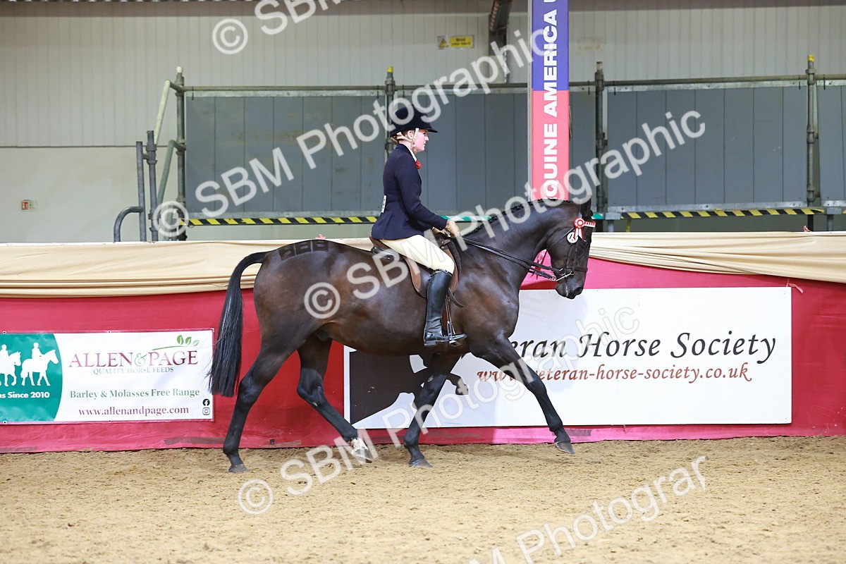 SBM_06179 - Class 12R - Ridden Pre-Vet