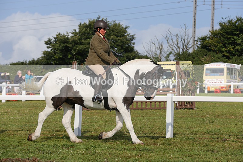 1X9A3204 - Class 28: Ridden Native/Trad Coloured Pony