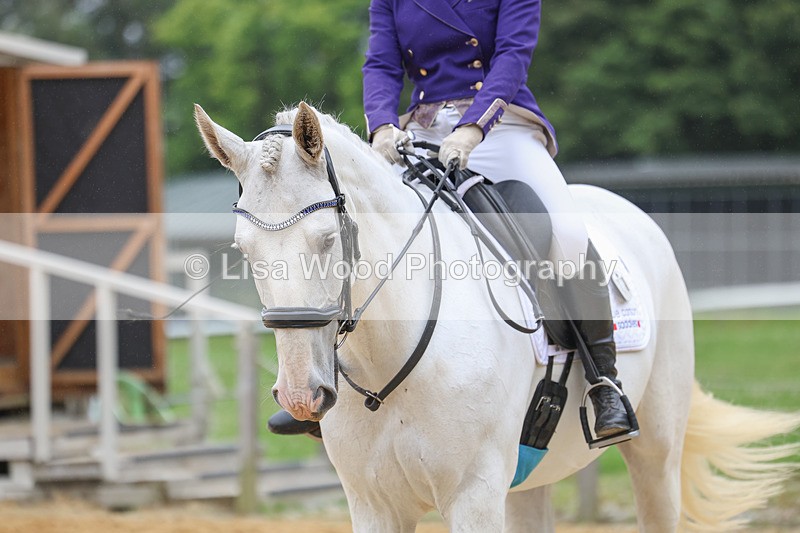 3E7A5339 - Class 2: Intro 4 2024 section B