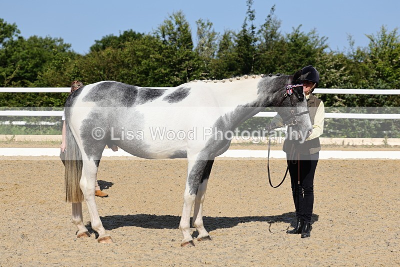 1X9A0750 - Class 4: Youngstock 1, 2, 3 year old to exceed 153cm
