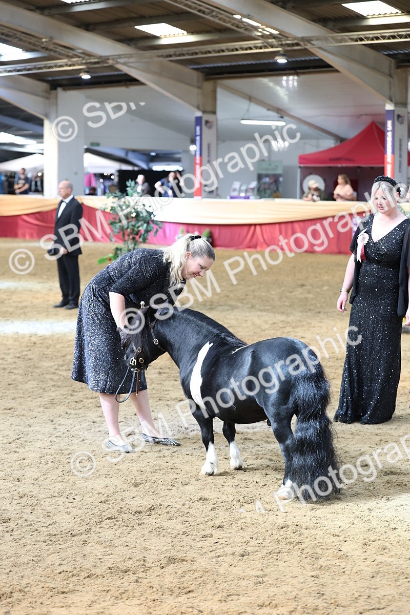 SBM_23326 - Class 903 - Supreme Final - IH Pre Vet
