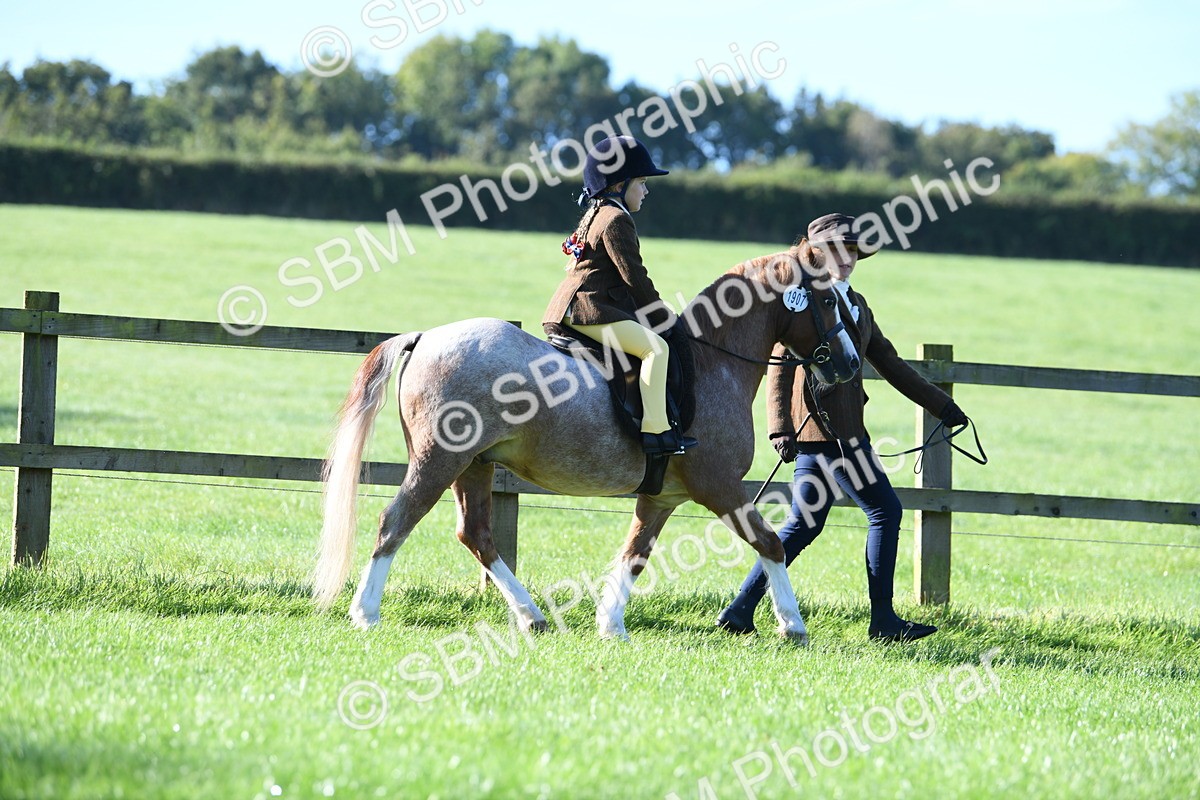 SBM_35326 - S17 - Condition & Turnout - Lead Rein