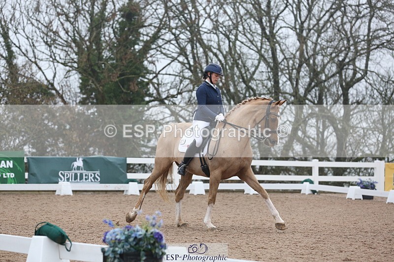 240217A-123453-02911 - 274-Clare.Smith-Dori.Dragon.Fly