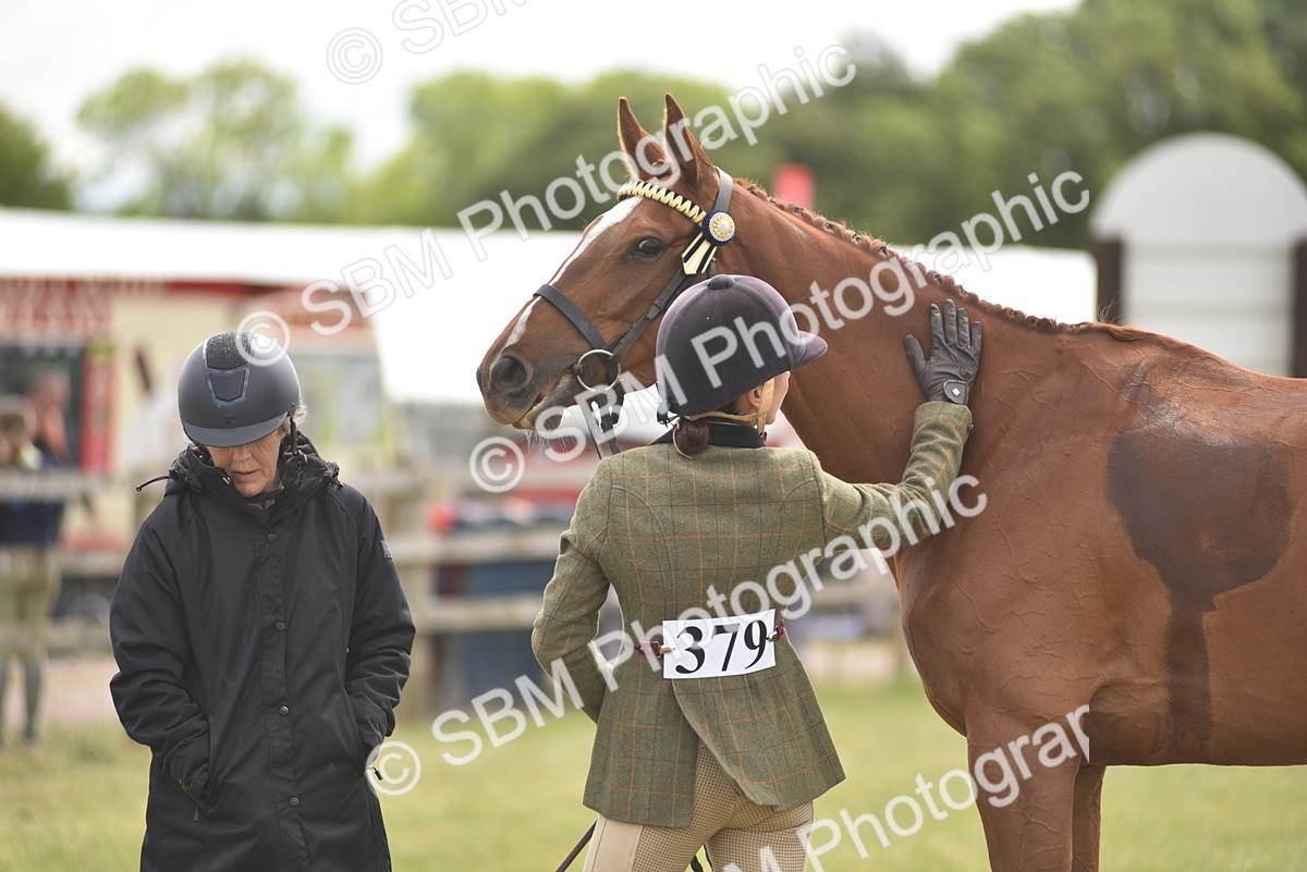 SBM_15118 - Class 113-114 - Retraining of Racehorses Ridden