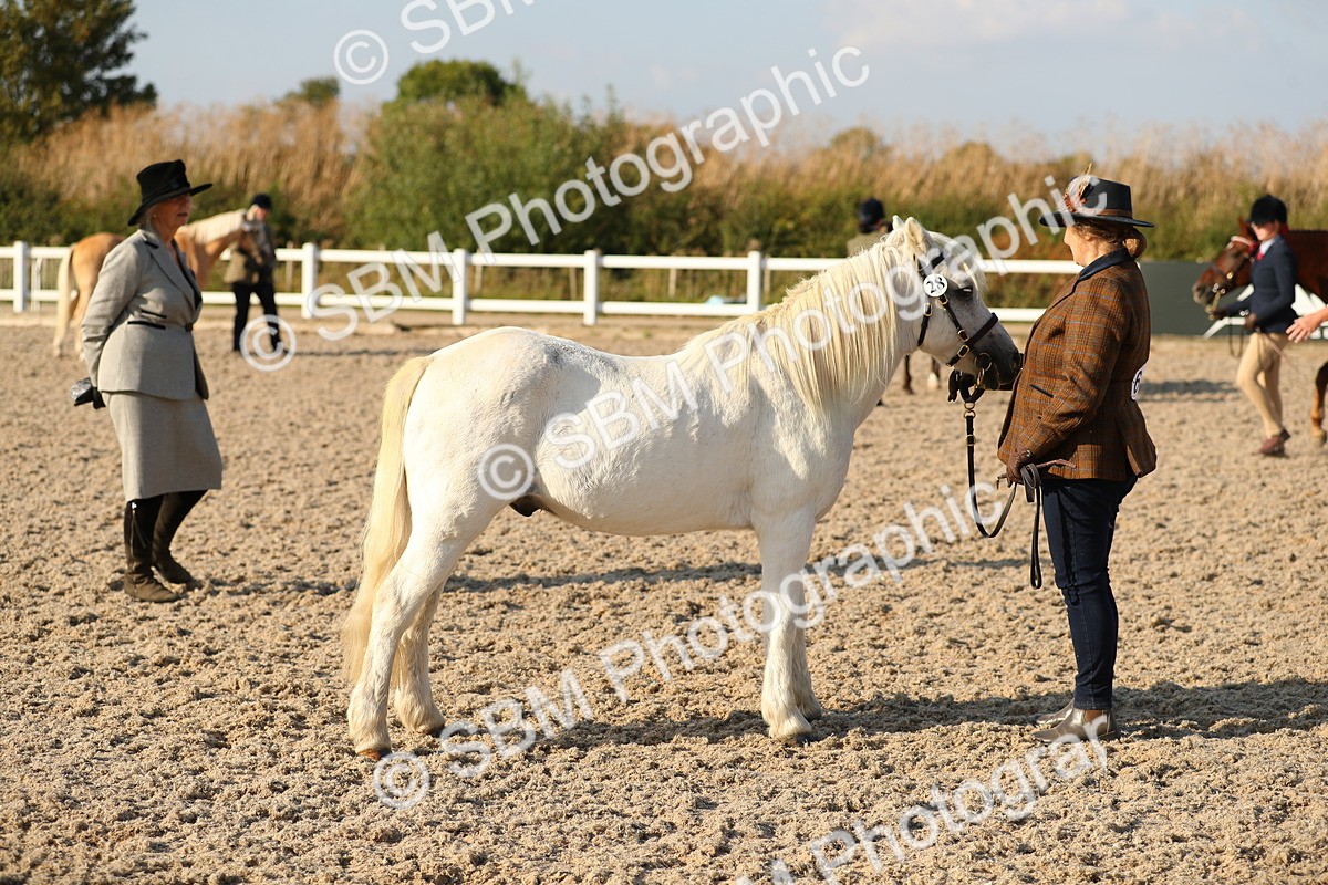 SBM_08962 - Class 29 IH Veteran Pony