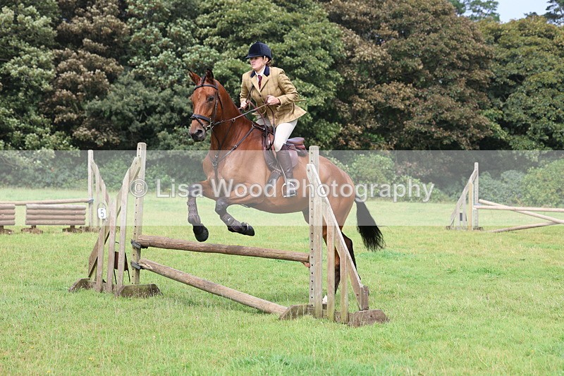 3E7A5829 - Class 26 and 27: 70cm Working Hunter