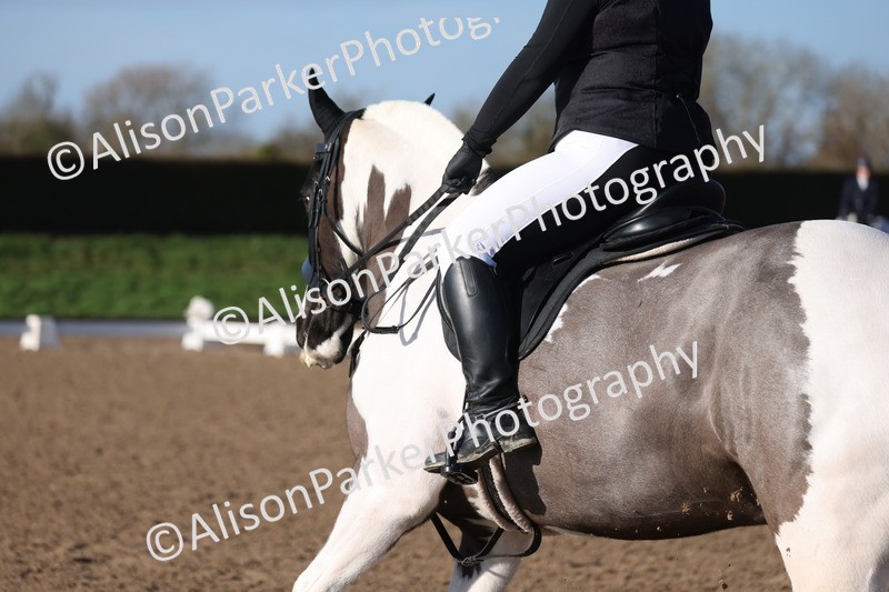 20260128-0276 - Class 3 - Novice 4