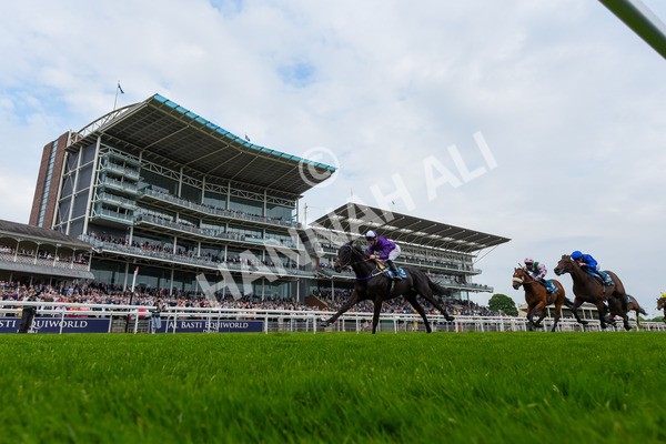 180523-Race 6-Cuban Thunder-4272 - Race 6 4.45pm Frank Whittle Partnership ebfstallions.com Maiden Stakes
