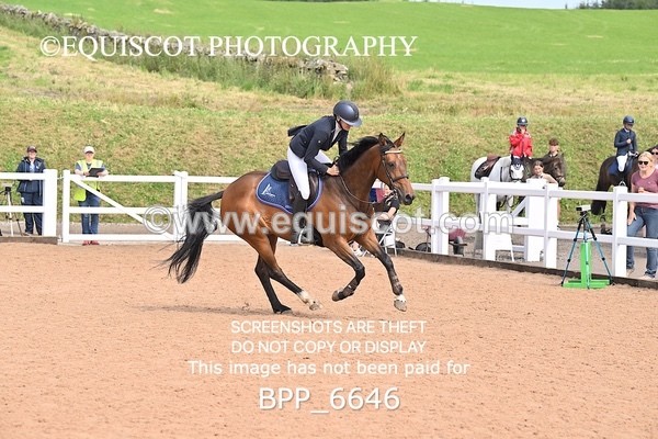 BPP_6646 - SUN CLASS 52 HOYS Pony Foxhunter Second Round