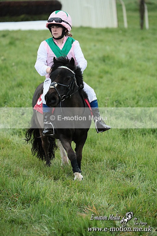 SHETPR 210425 237 - Shetland Ponies Paxford Races 21/04/25