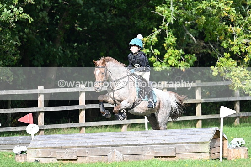 WJ7_5018 - 60cm Time 11:11 to 11:19