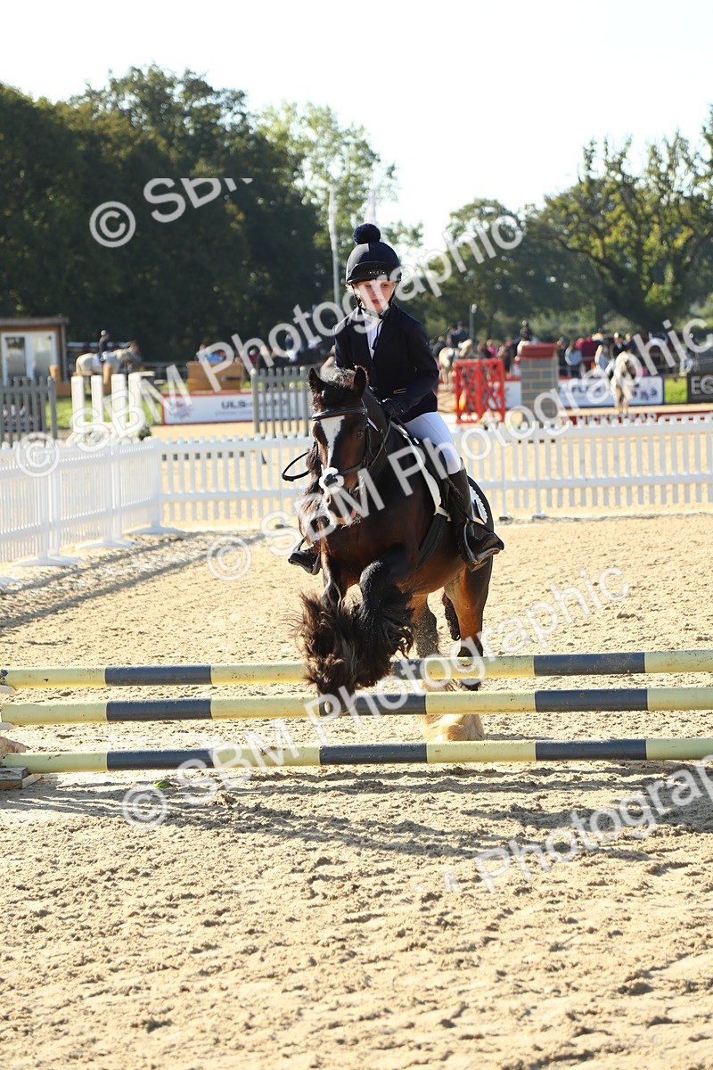 SBM_35851 - J5 - Junior Pony 50cm Championship