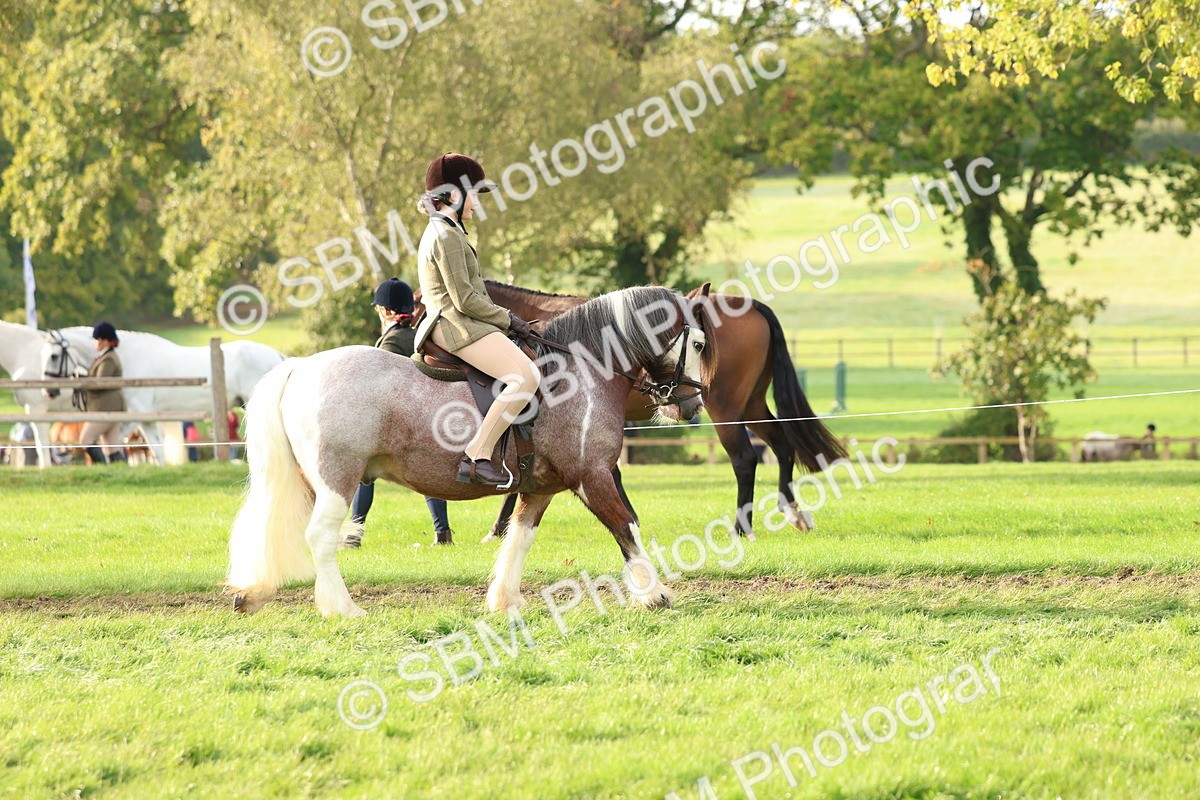 SBM_56519 - S40 - Starters Ridden Showing