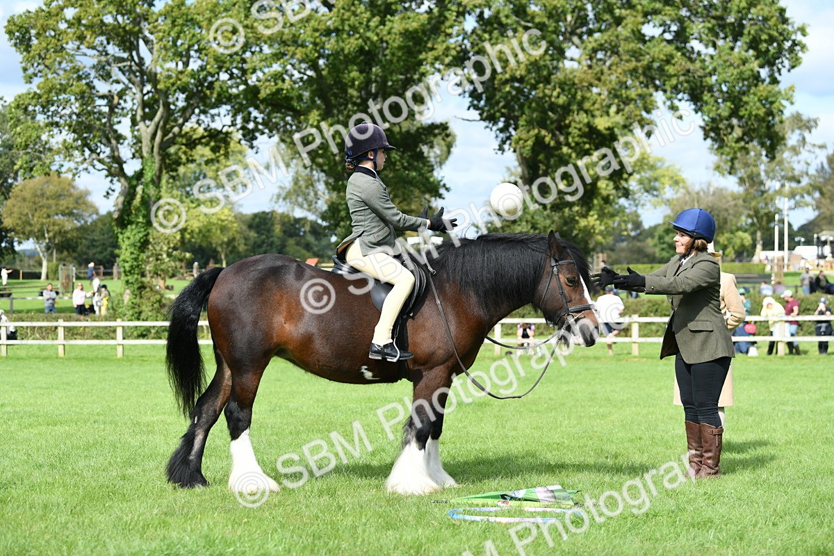 SBM_46920 - S12 - Family Horse & Pony