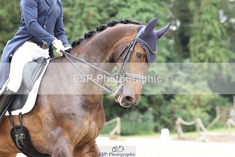 240810-143331-03753 - 186-Jonathan.Hansen-Summerhouse.Delano