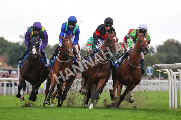 yr24092021r6-20 - Race 6 4.25pm William Hill Pick Your Places Stakes