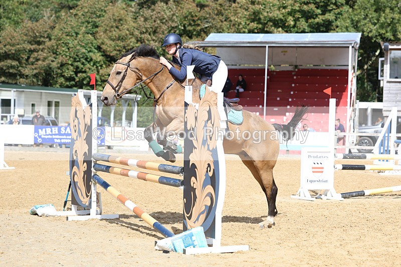 3E7A9280 - Class 9: Senior British Novice/90cm open