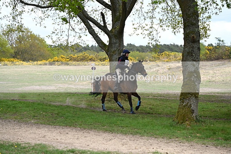 WJ6_0397 - Time 13:48 to 14:12