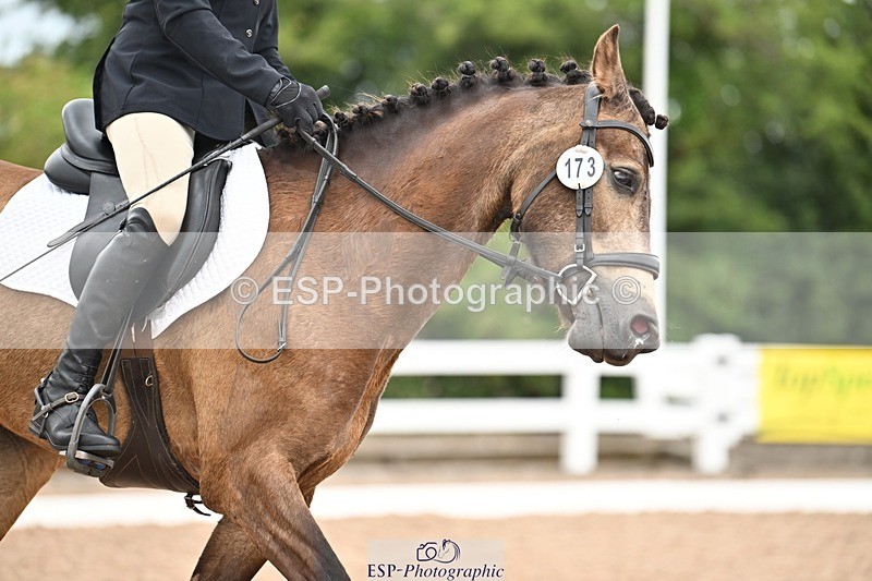 250705-175521-04016 - BRCP4 Sections BRCP4SNR, BRCP4JNR 13.50 to 14.53