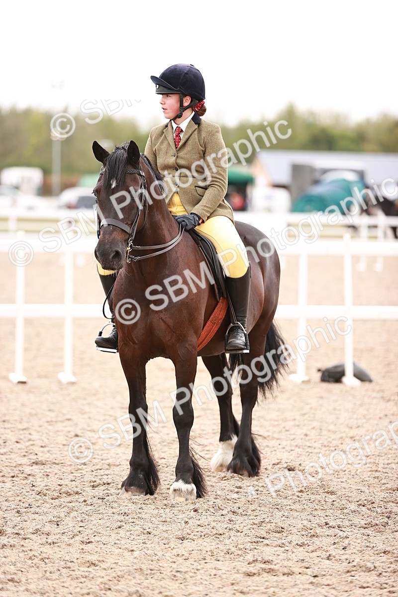 SBM_19069 - Class 422 - Ridden M&M