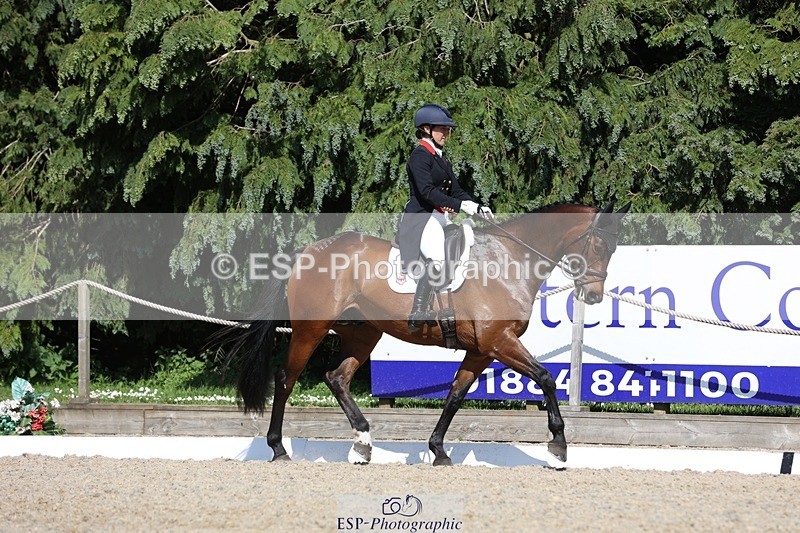 230526-160406-07747 - 168-PARKFIELD_ARTIE_BLOU-Laura_Collett-WEDTrotUp+DR