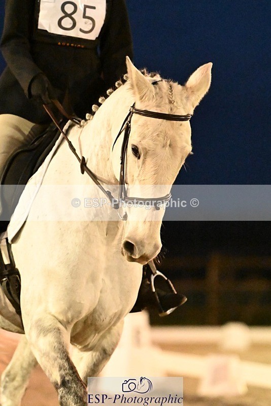 231105-171432-04626 - Cls 5 Novice 27 17.00 to End