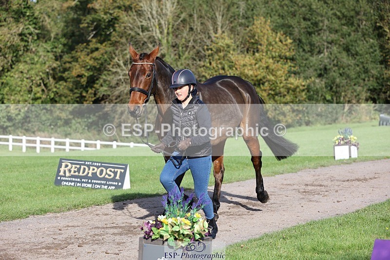 241027-101402-15760 - 509-Tichy.Sanders-SPARHANGER.VELVET