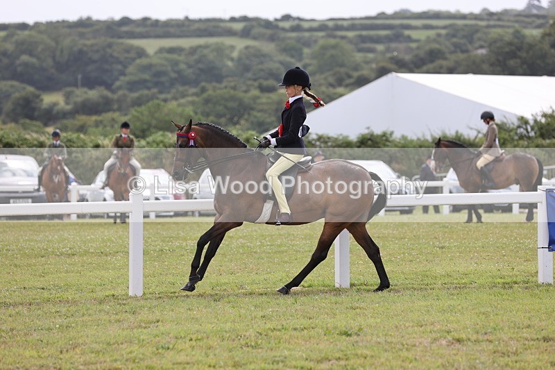 JPP_1616 - Cornish Combination Championship