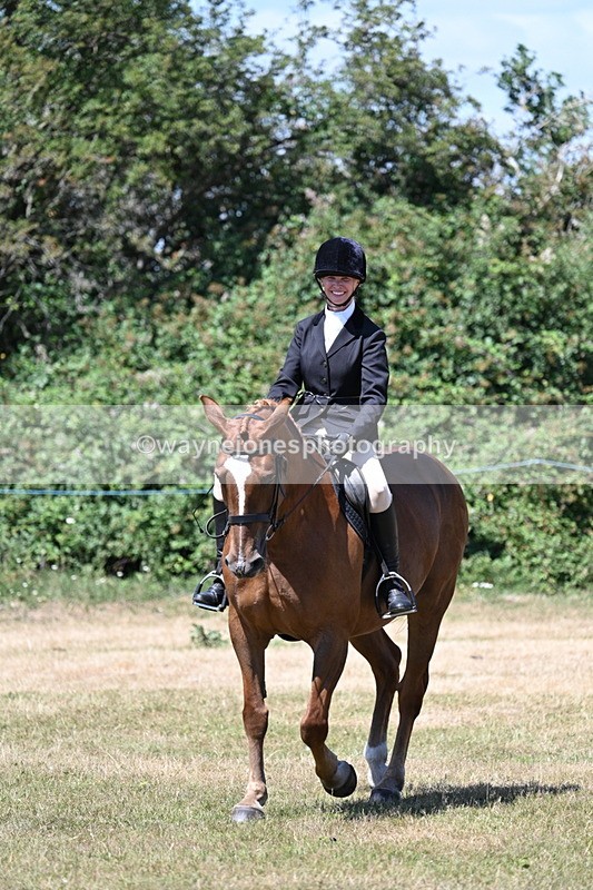 WJ7_2985 - Class 7 Riding Club Show Horse